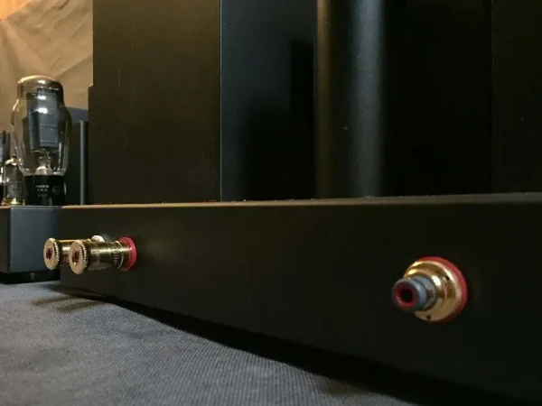 Close-up of a black Vista 3-Way Horn Speakers with vacuum tubes and colored audio input jacks. Close-up of a black Vista 3-Way Horn Speakers with vacuum tubes and colored audio input jacks.